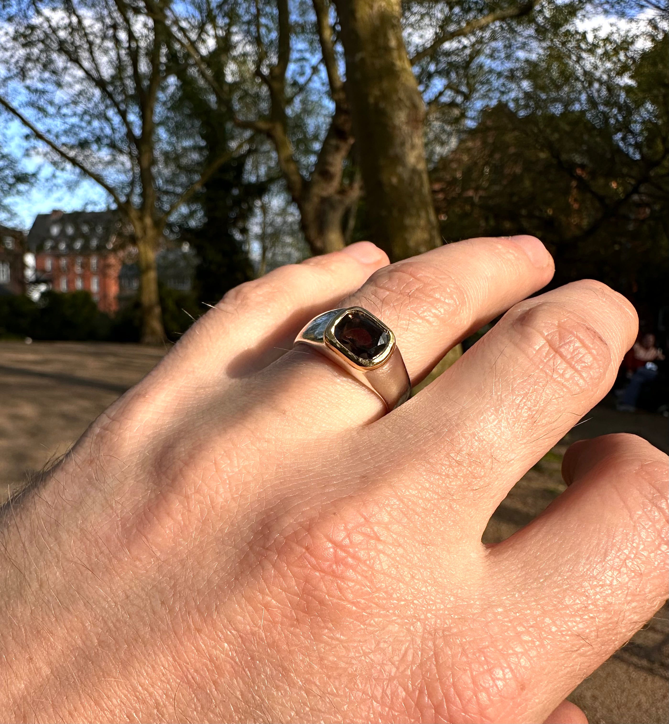 MINI GOLD BEZEL